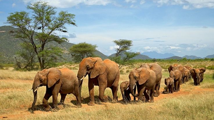 Safari_Rasharasha_9_dias_2026